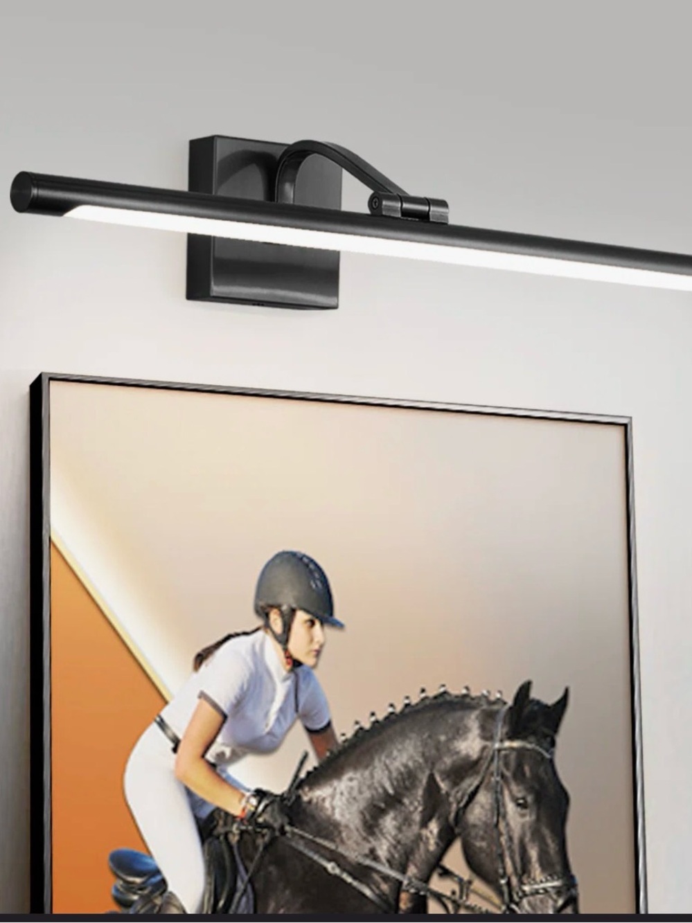 House of Hampton Black LED Wall Picture Light
